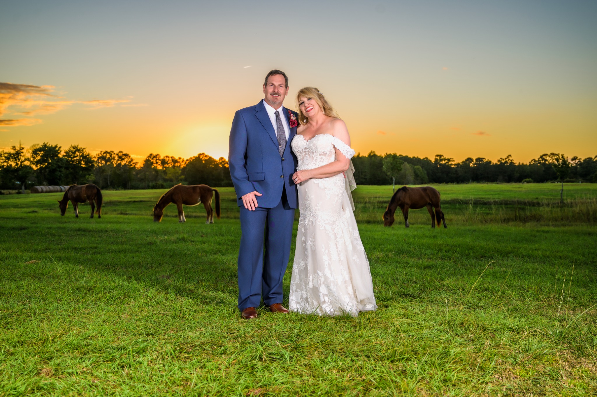 Newlyweds in a field with grazing horses at sunset at Wildhorse at Parker Farms